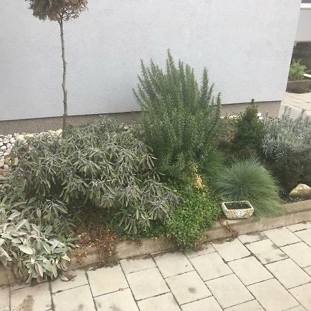 Studio Apartman Valentina Velika Mlaka Luaran gambar