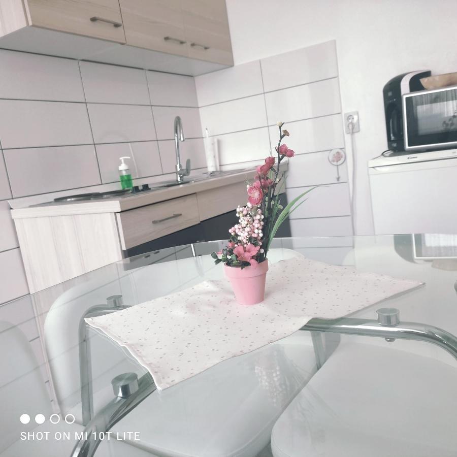 Studio Apartman Valentina Velika Mlaka Luaran gambar