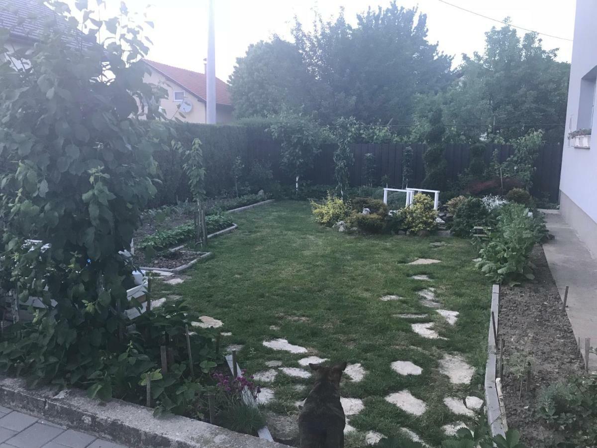 Studio Apartman Valentina Velika Mlaka Luaran gambar